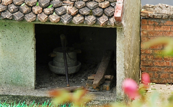 "Sởn da gà" với tiểu cảnh Quê nội ảnh 12